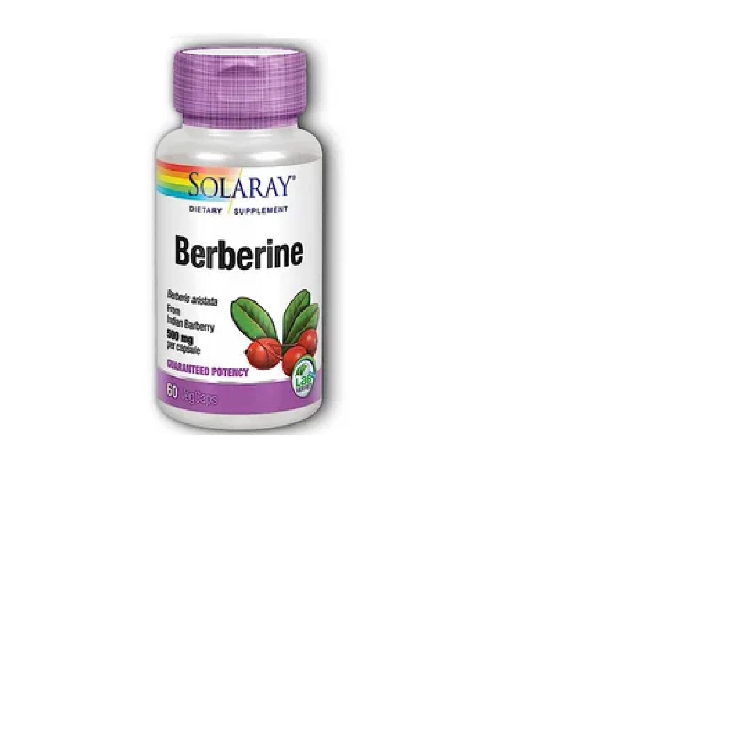 Benefits of Barberry Supplements